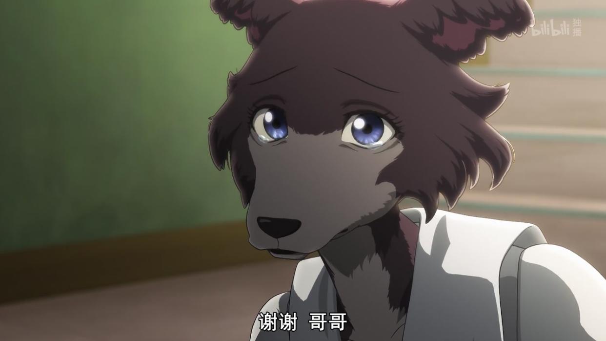 10月最强动画！青春野狼和兔学姐，熊猫大叔包治百病还送珍藏书籍