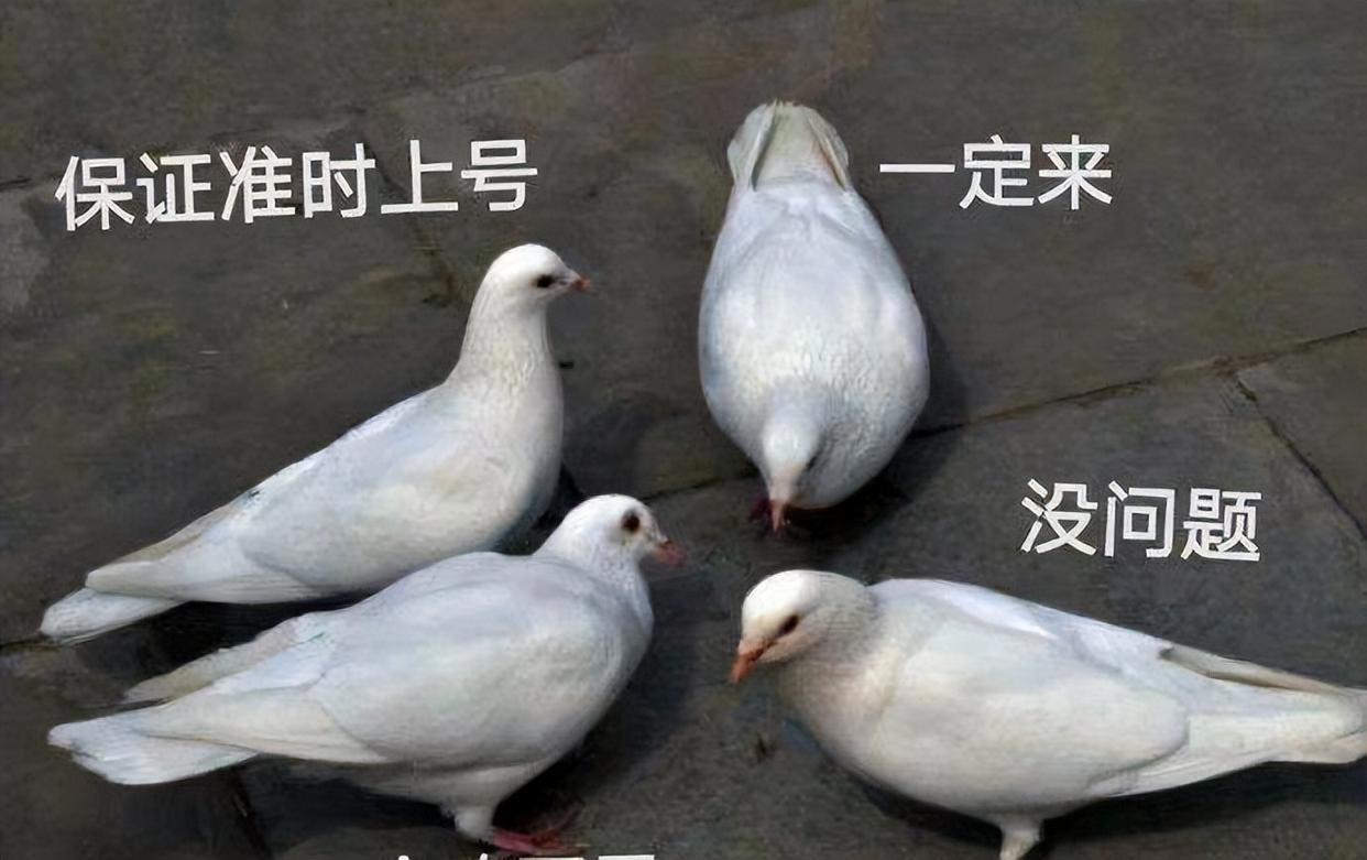 7月已有4部国漫逃票，含《绝代双骄》，漫迷的期待落空了