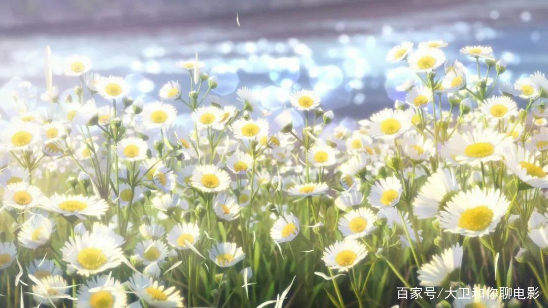 评分超新海诚又一日本动画神作诞生