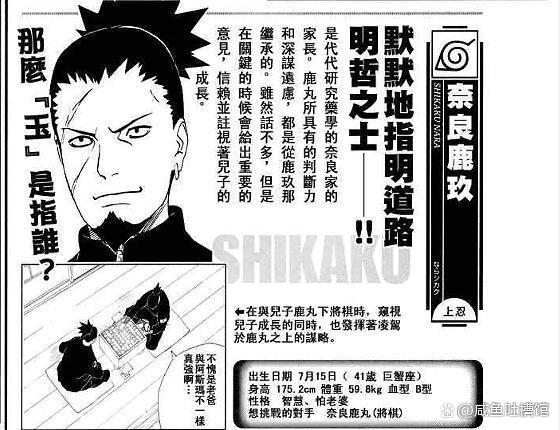 《火影忍者》第四次忍界大战前木叶上忍排名，大舅子上忍之耻