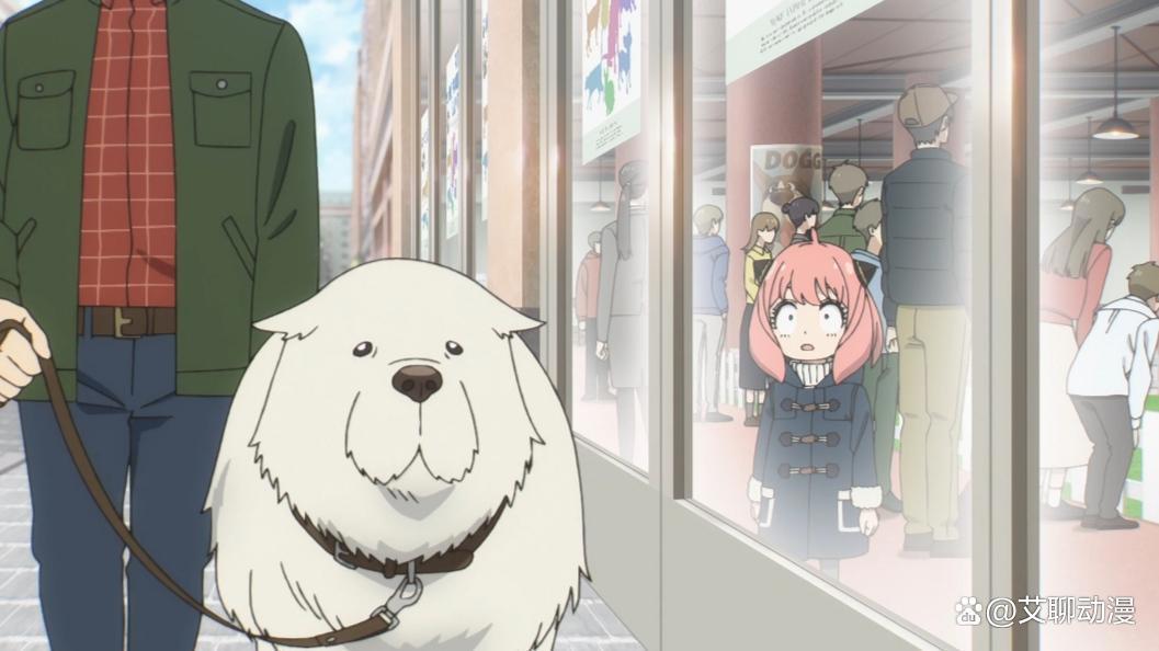 《间谍过家家》第二季开播，能够预知未来的狗狗登场，但却非常怂