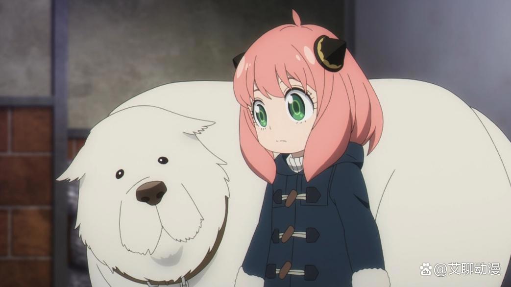 《间谍过家家》第二季开播，能够预知未来的狗狗登场，但却非常怂