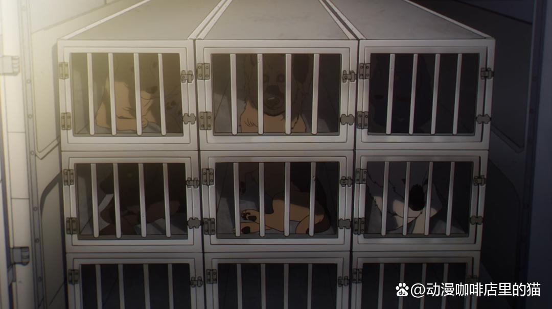 《间谍过家家第13集》精彩抢先看，这个反派有点小帅