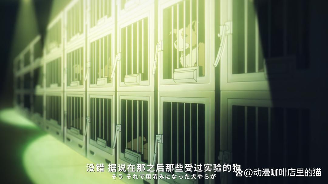 《间谍过家家第13集》精彩抢先看，这个反派有点小帅