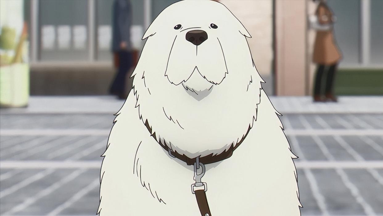 间谍过家家第二季10月来袭，阿尼亚和邦德强行改变黄昏的未来