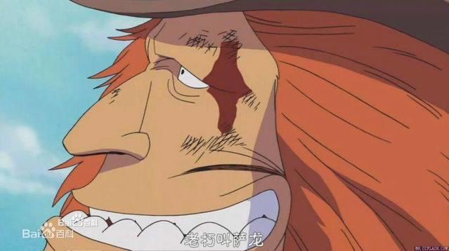 喜欢海贼王，但是你知道“D”到底是什么意思吗？