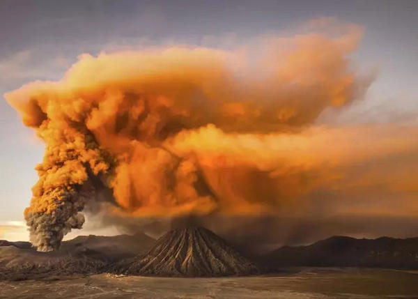 震撼心灵！2021美国《国家地理》摄影师大赛获奖作品精选｜艺术新生活