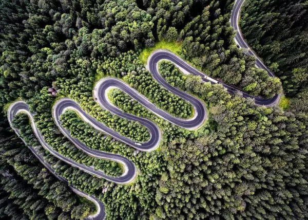 震撼心灵！2021美国《国家地理》摄影师大赛获奖作品精选｜艺术新生活