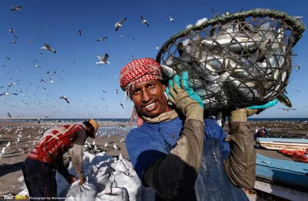 震撼心灵！2021美国《国家地理》摄影师大赛获奖作品精选｜艺术新生活