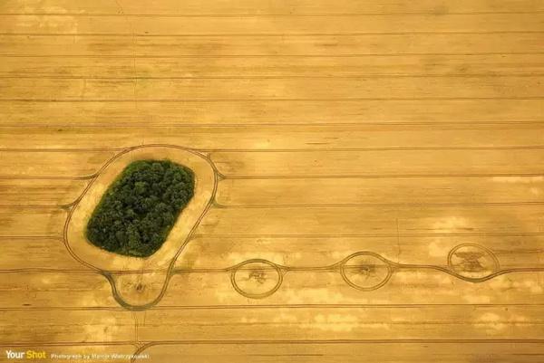 震撼心灵！2021美国《国家地理》摄影师大赛获奖作品精选｜艺术新生活