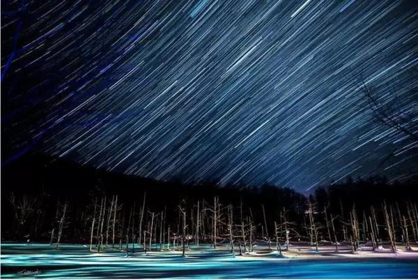 震撼心灵！2021美国《国家地理》摄影师大赛获奖作品精选｜艺术新生活