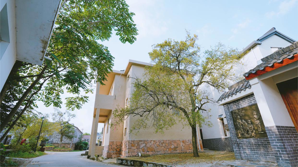 苏醒的乡村再出发、跟着古诗词打卡江苏赏月地｜人文周刊特别策划