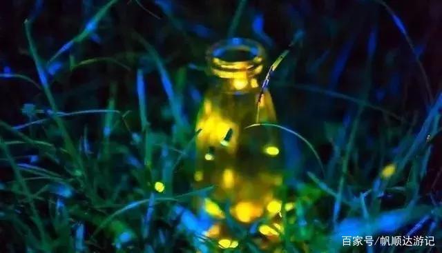 木兰天池避暑新玩法：奇幻漂流 萤火虫之夜，这个夏天嗨起来