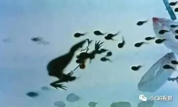 我们小时候看的动画片，这几部居然如此高级，收藏起来带娃看