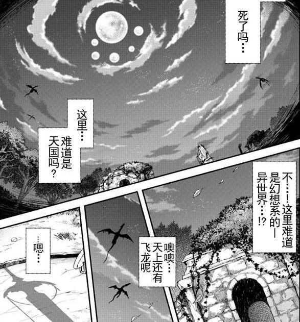 男主转生成一把剑，并被兽耳娘少女捡走，无奈只能和对方一同冒险