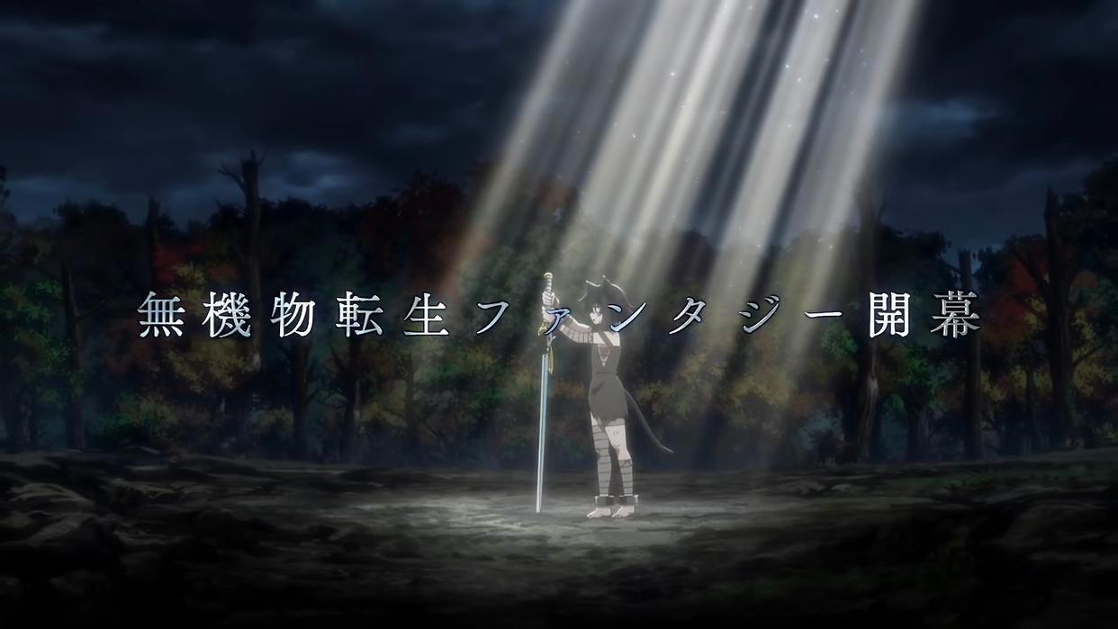 男主转生异世界成为一把剑，还被一位兽耳娘使用，作品还动画化了