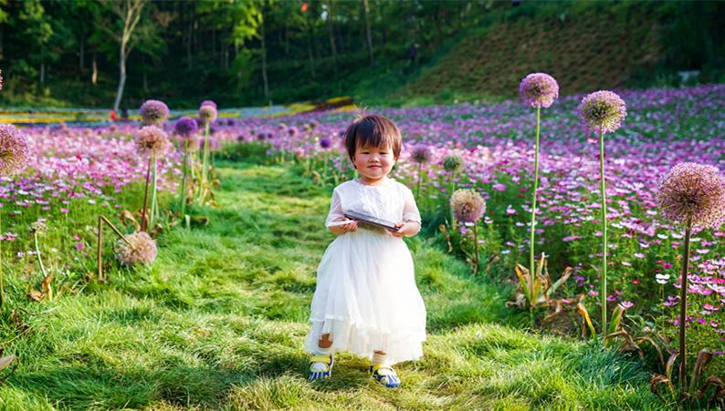 武汉周边发现宫崎骏同款花海！1.5小时直达，漫山绣球花正逢盛放