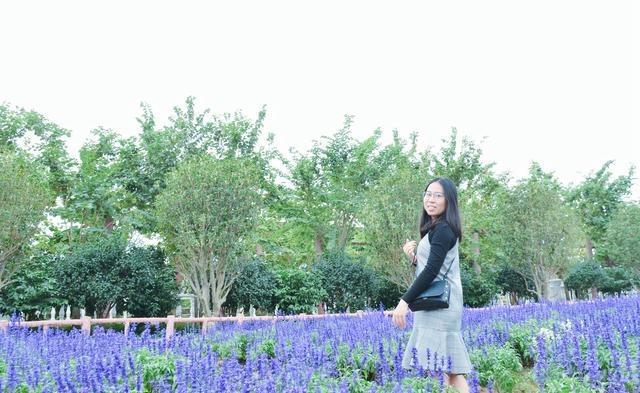 徜徉郁金香空中花园，百万葵园的冬日恋歌