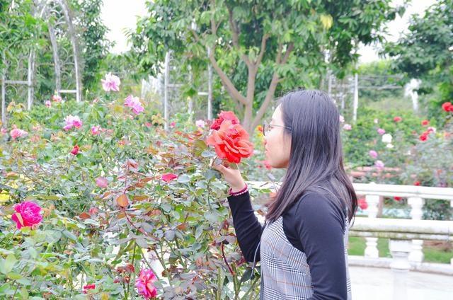 徜徉郁金香空中花园，百万葵园的冬日恋歌