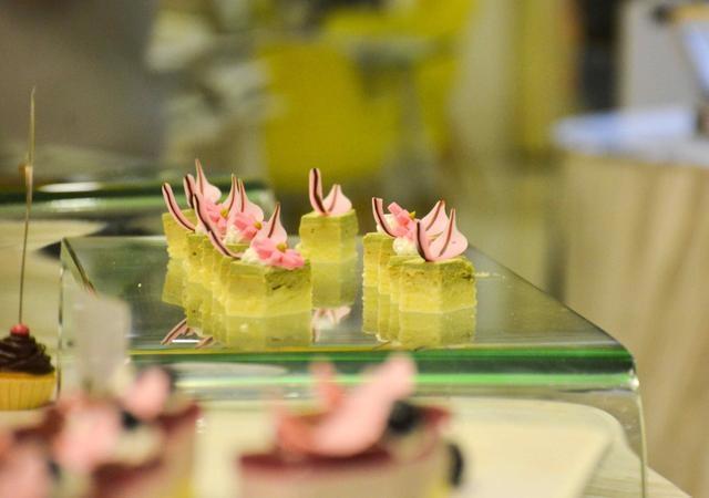 徜徉郁金香空中花园，百万葵园的冬日恋歌