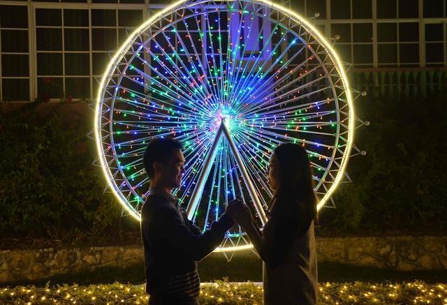 徜徉郁金香空中花园，百万葵园的冬日恋歌