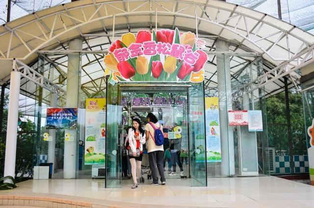 徜徉郁金香空中花园，百万葵园的冬日恋歌