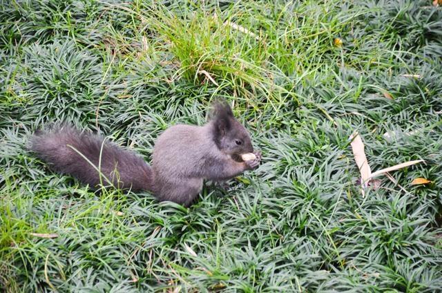 徜徉郁金香空中花园，百万葵园的冬日恋歌