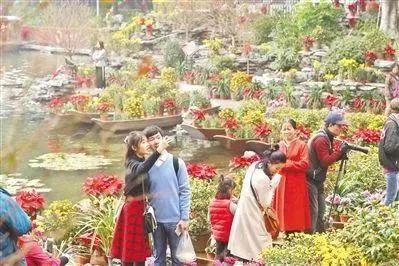 广东花市年年有，今年大不同！水上花城、AI嘉年华……等你来！