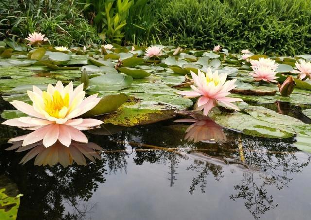 重庆周边公园整理丨适合带小孩玩耍的公园