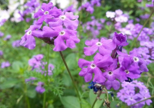 重庆周边公园整理丨适合带小孩玩耍的公园