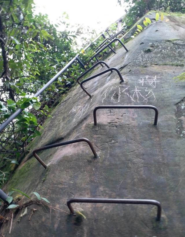 重庆周边公园整理丨适合带小孩玩耍的公园