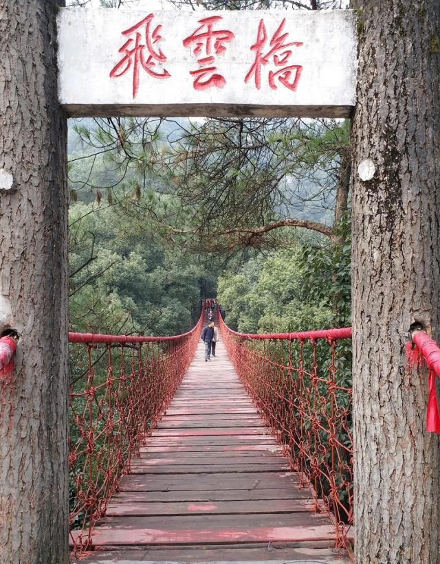 重庆周边公园整理丨适合带小孩玩耍的公园