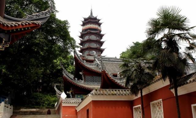 重庆周边公园整理丨适合带小孩玩耍的公园