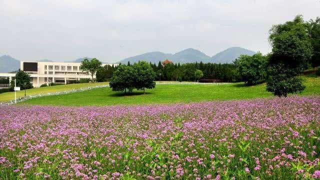 重庆周边公园整理丨适合带小孩玩耍的公园