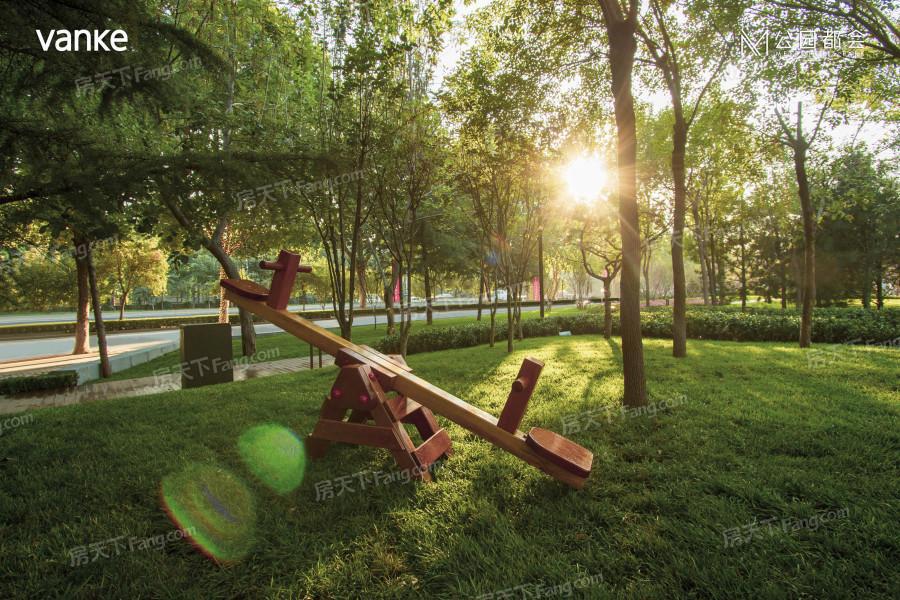 石家庄多座公园十一开放其中一座填补东北区域缺失中大型公园的空白