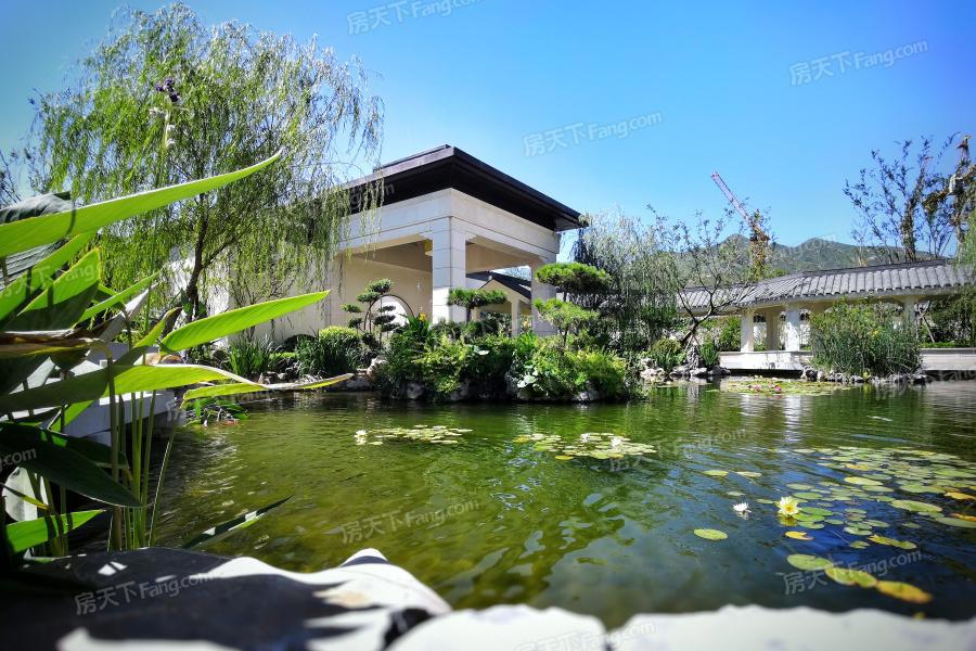 石家庄多座公园十一开放其中一座填补东北区域缺失中大型公园的空白