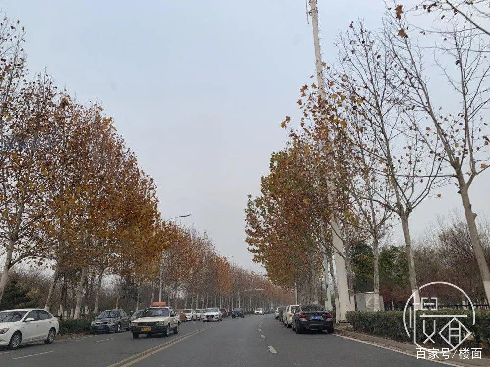 曾经的炒房天堂，当下进场怎么选房？