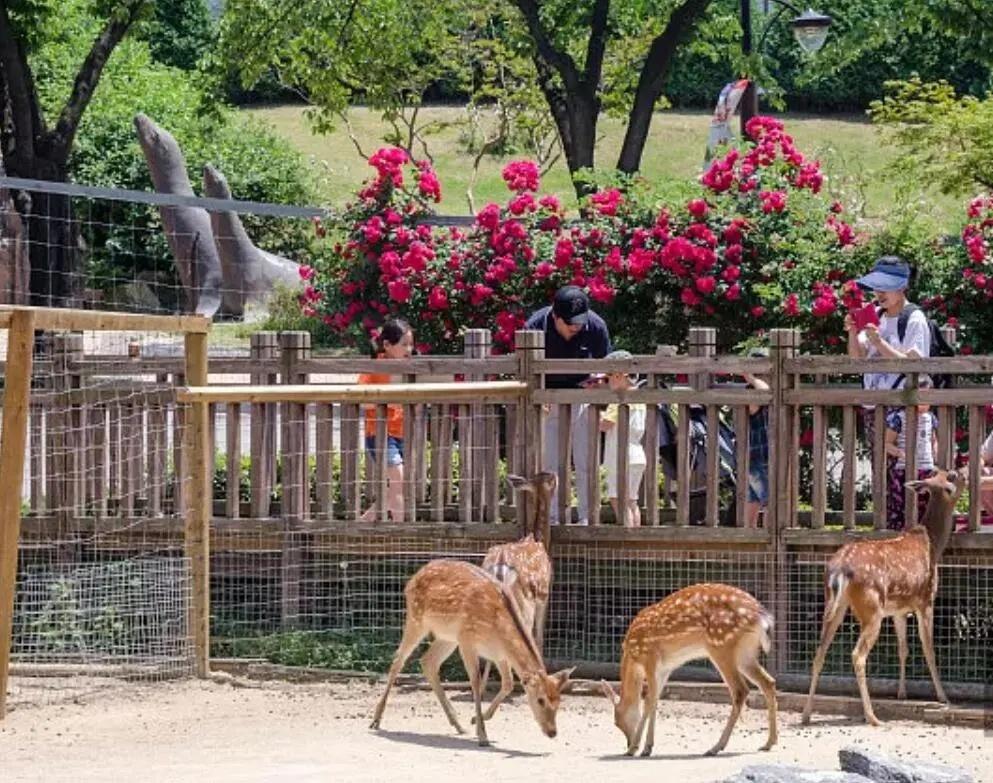 2021年国内即将开业的主题乐园，除了北京环球，还有这7个
