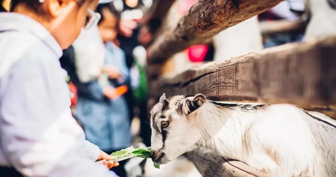 2021年国内即将开业的主题乐园，除了北京环球，还有这7个