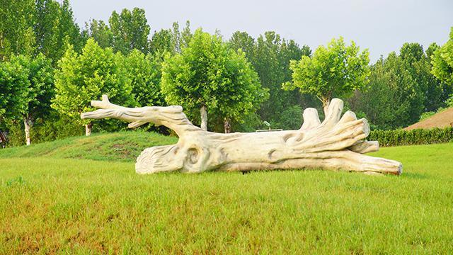 上林马术中央公园在这个季节诞生