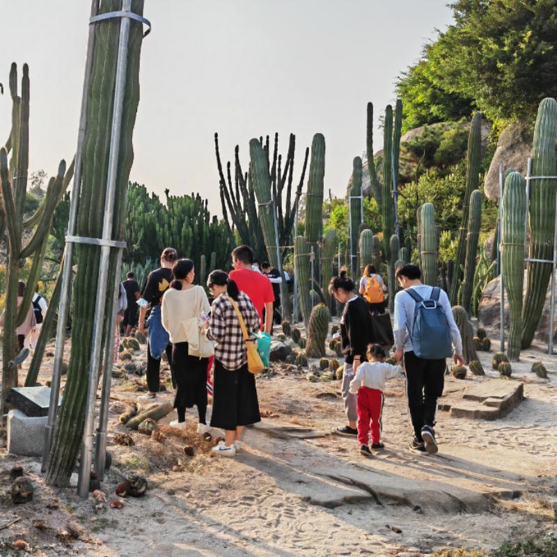 厦门遛娃宝藏地清单，10座公园让大人和小孩都都可以愉快地玩耍