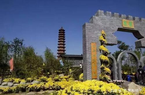 郑州十大旅游景点，河南郑州有什么好玩必去的地方景点