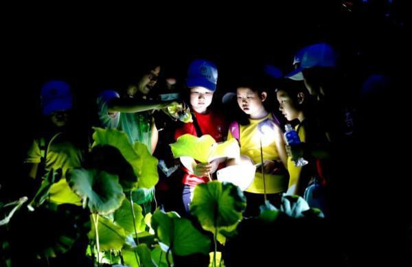 上海之根，人文松江｜喜欢上海的理由