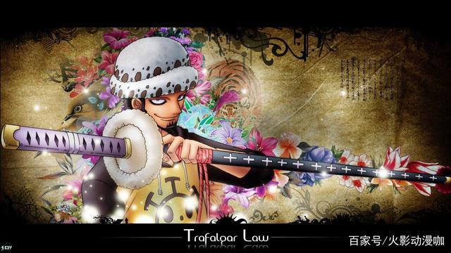 神似匹诺曹的海贼人物：预言家乌索普参上！