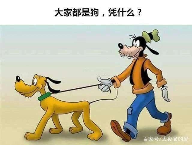 毁童年动画片：匹诺曹鼻子伸出了车窗外，这是又撒谎了吗？