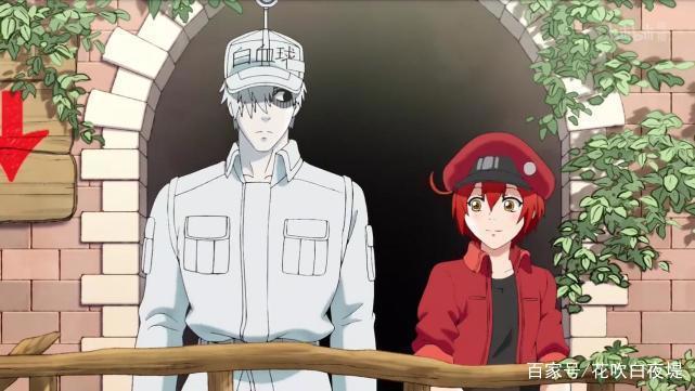 JOJO：第六部石之海特辑来袭，正片还会远吗