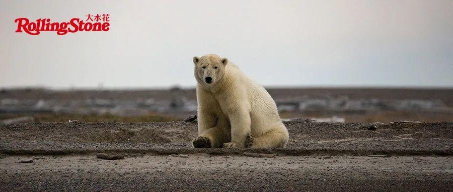 RSArt｜卢塞恩音乐节的夏日疯狂