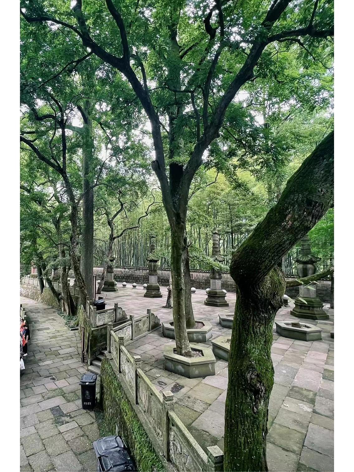 宁波夏日，被这三个疯狂种草的夏日避暑胜地，你一定要去感受一下