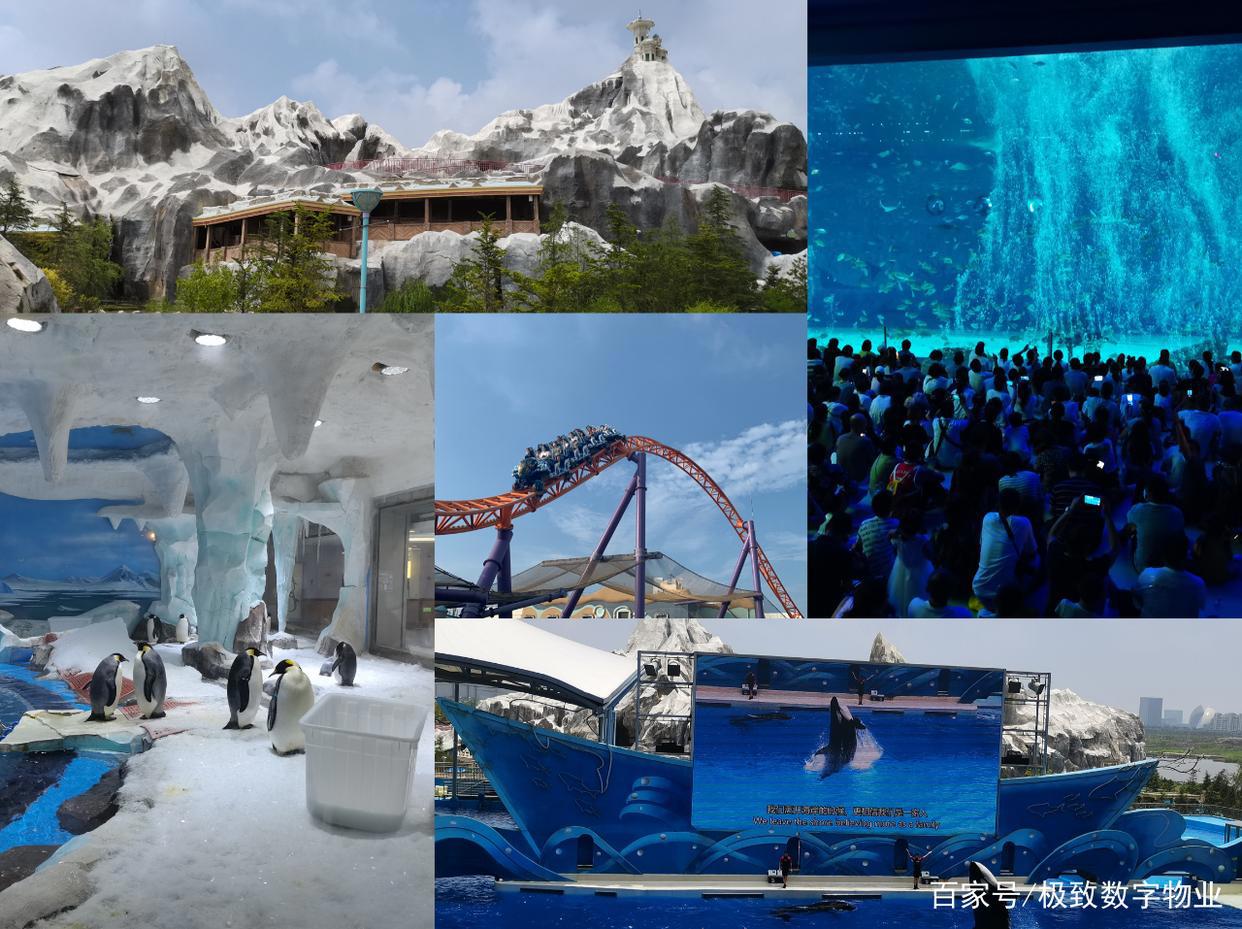 夏日疯狂！玩转海陆空！