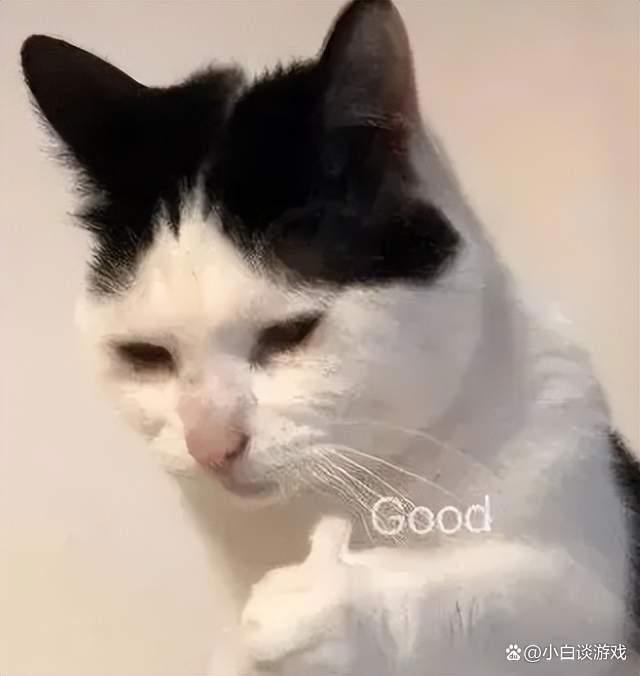 蛋仔派对：疯狂马戏团赛季上线，精美外观与你一起嗨翻整个夏日